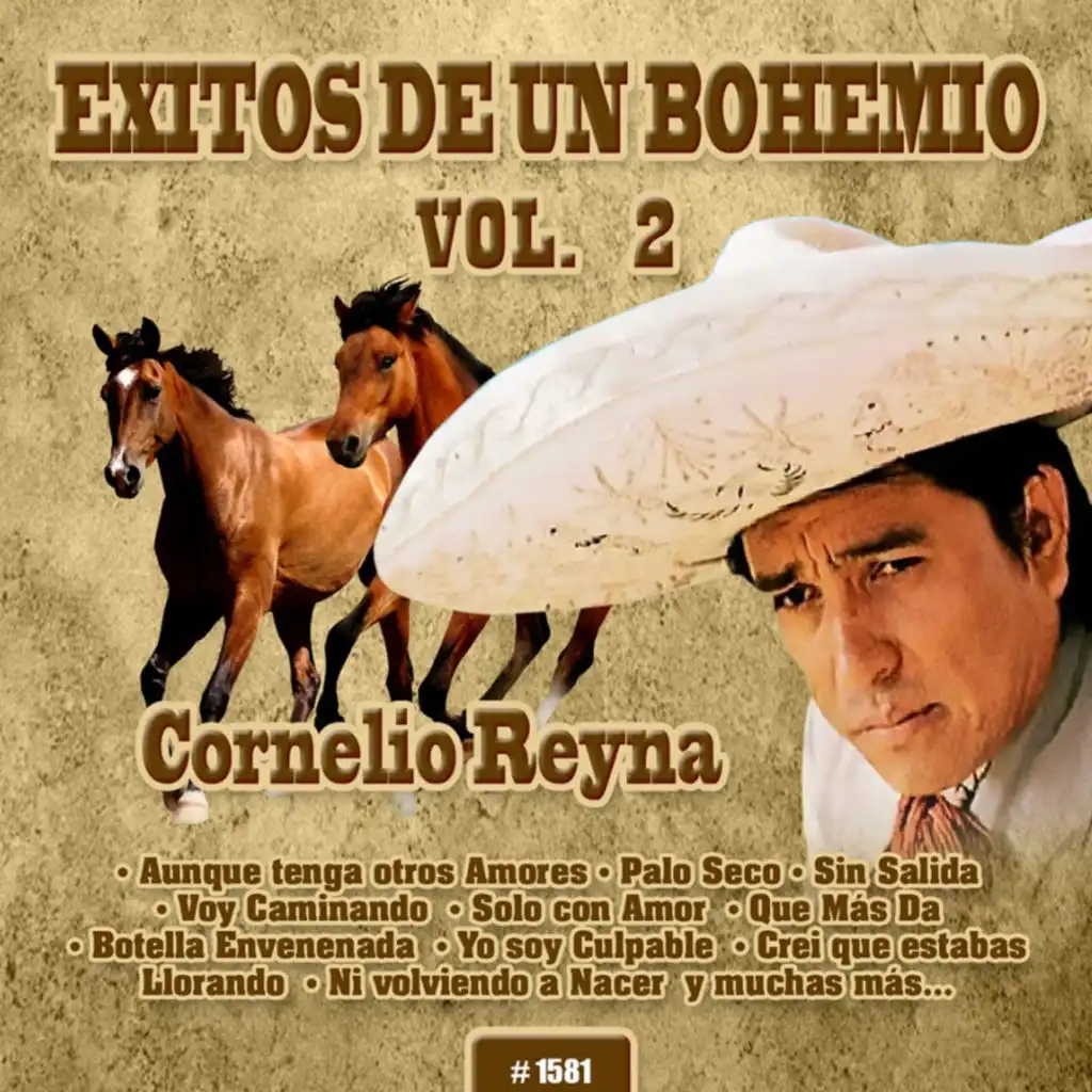 Exitos de un Bohemio, Vol. 2