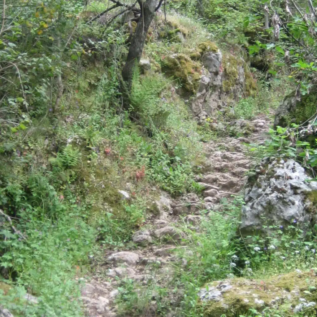 Aplanissez les chemins