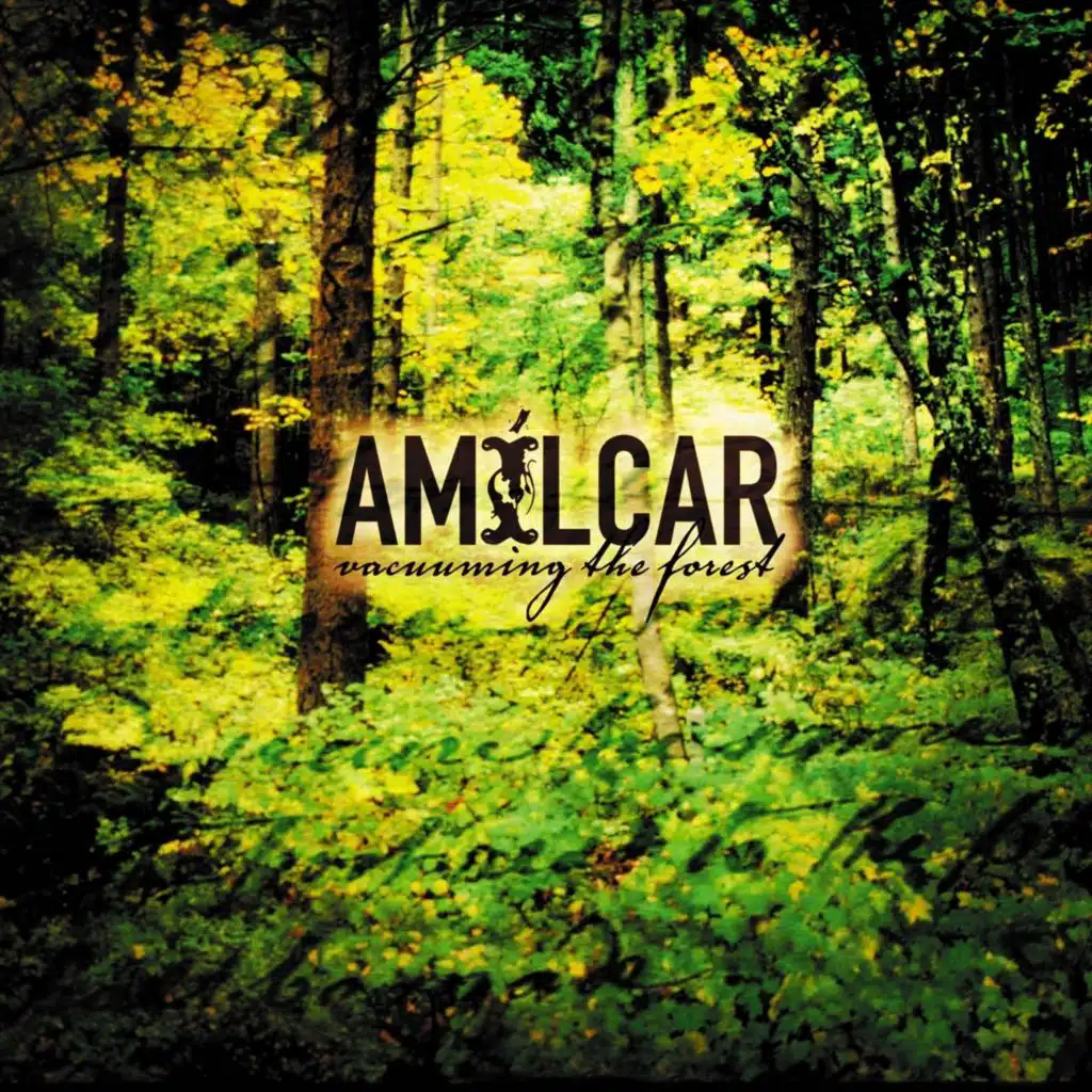 Vacuuming the Forest