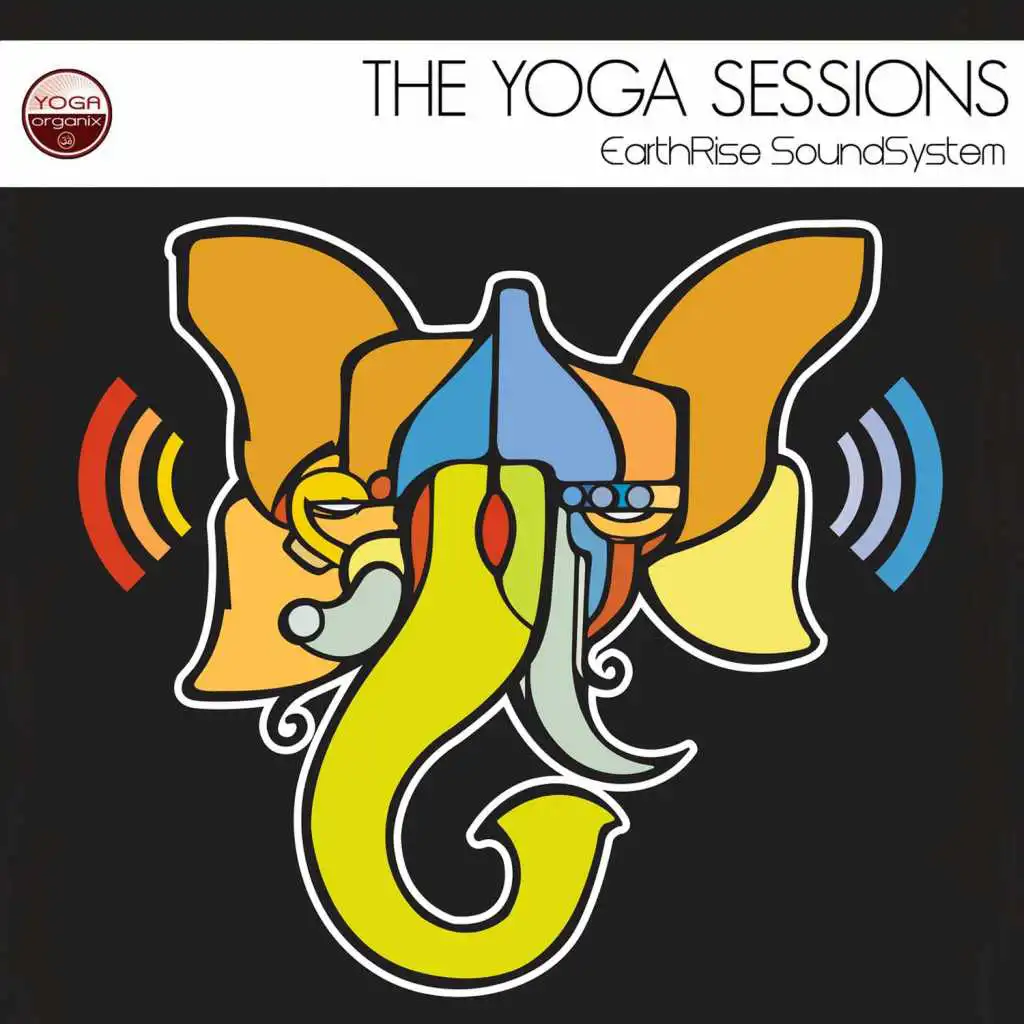 The Yoga Sessions