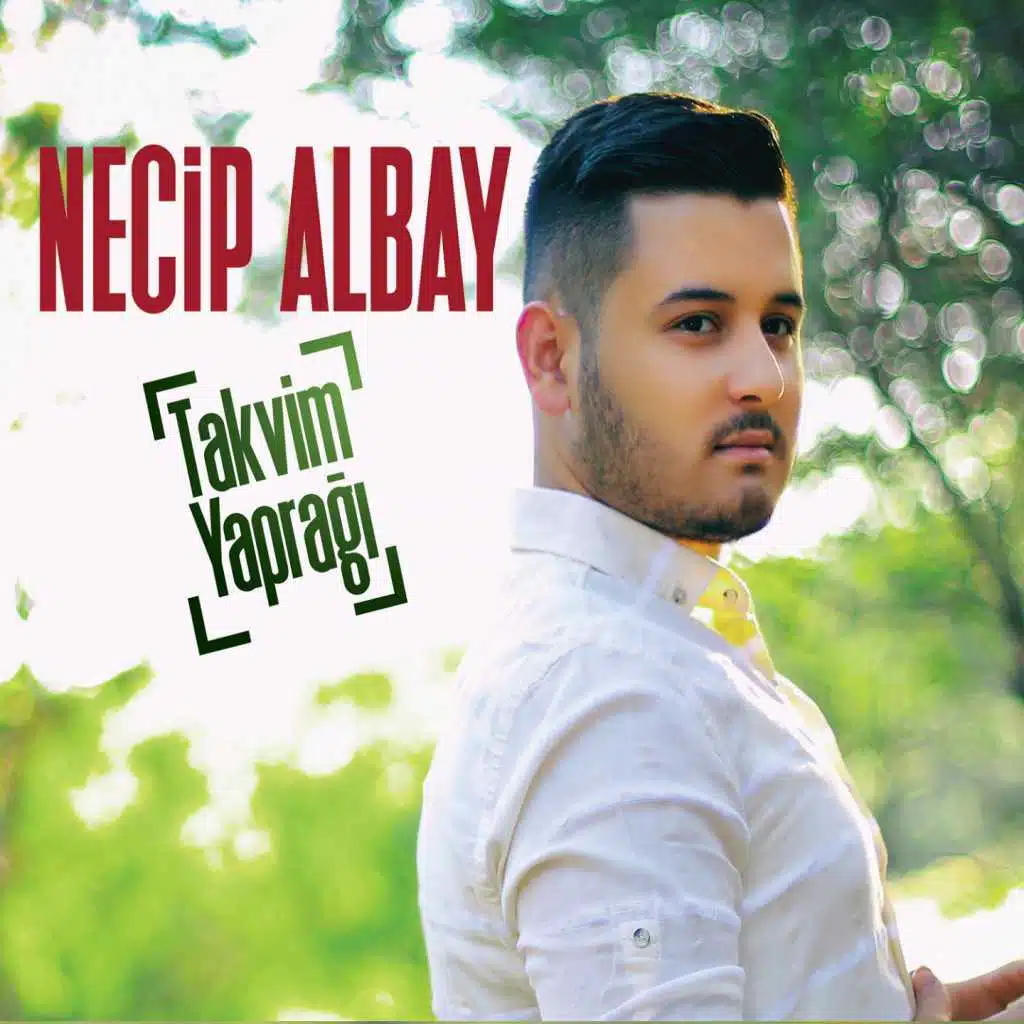 Ceviz Kabuğu