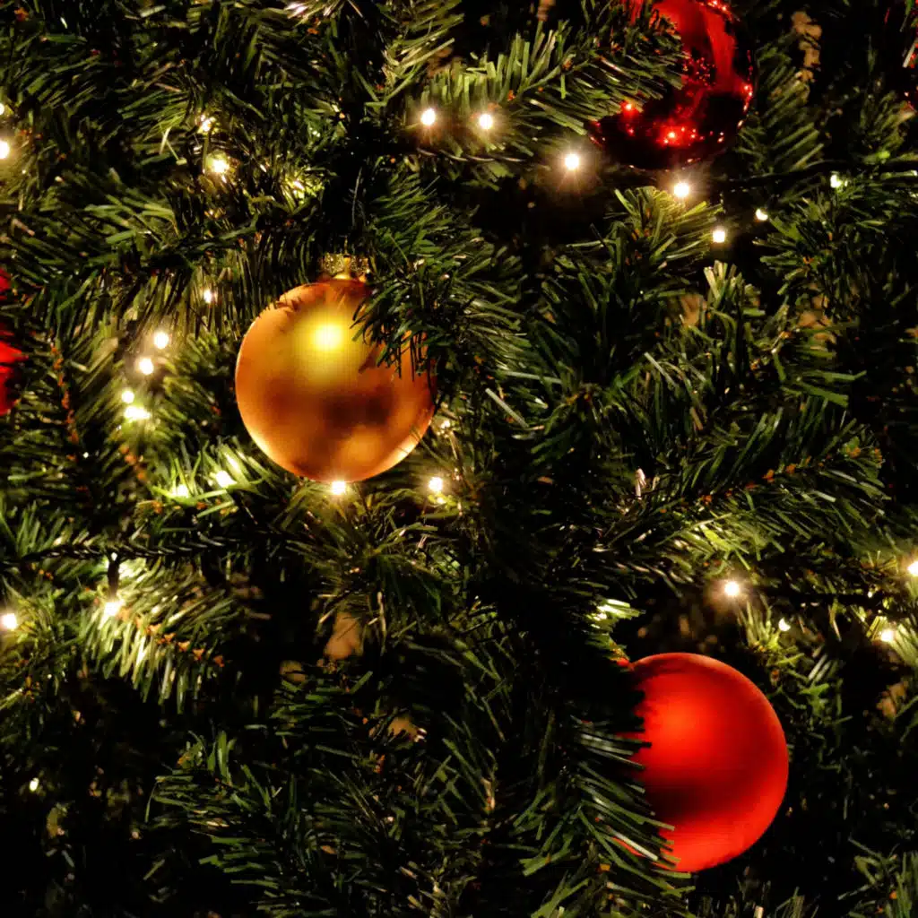 Fire Sounds, Fireplace Sounds & Yule Log