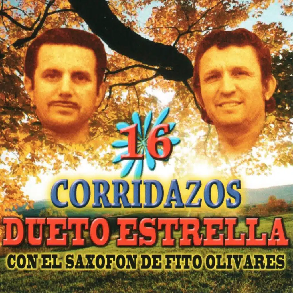 Caballo De La Cordada