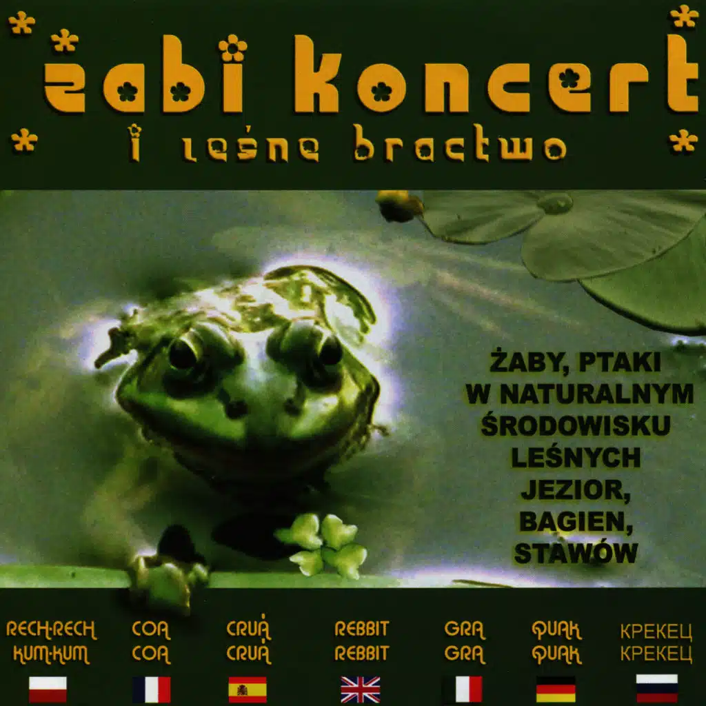 Frogs Concerto and Forest Birds Calls
