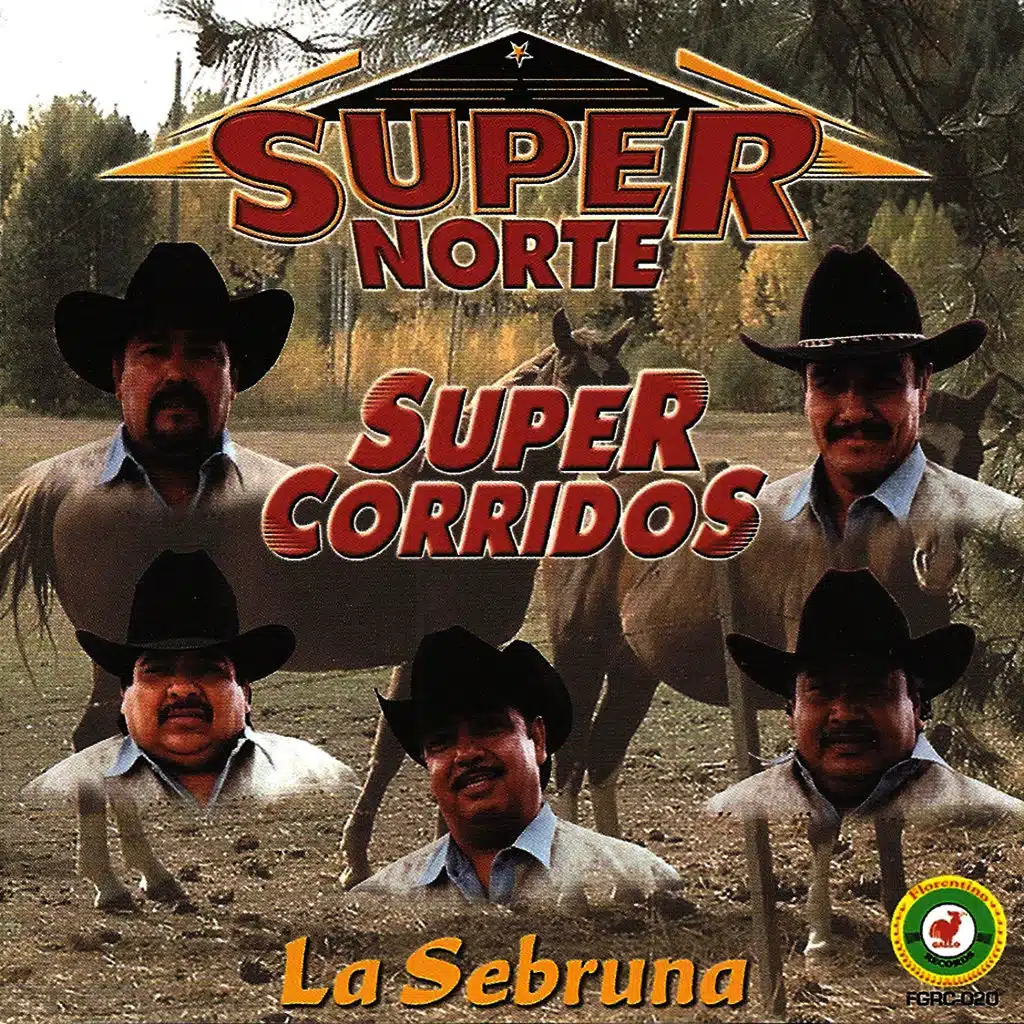 El Hijo Que No Volvió