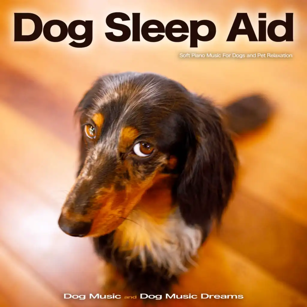 Dog Sleep Aid: Soft Piano Music For Dogs and Pet Relaxation
