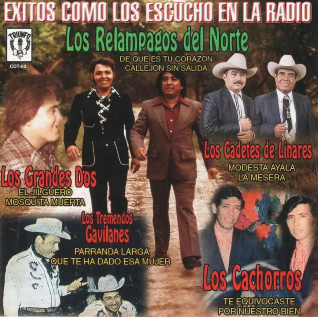 Exitos Como Los Escucho En La Radio