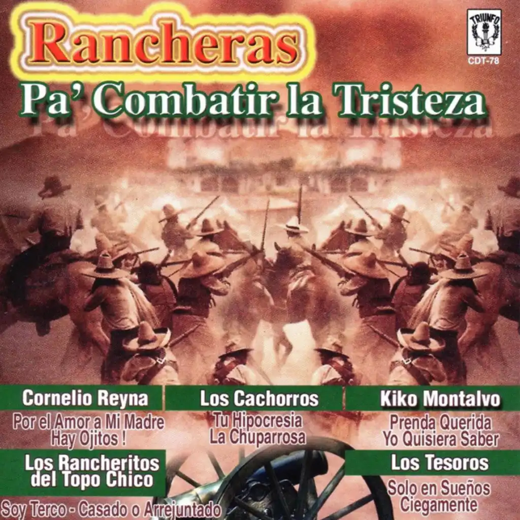 Rancheras Pa' Combatir La Tristeza
