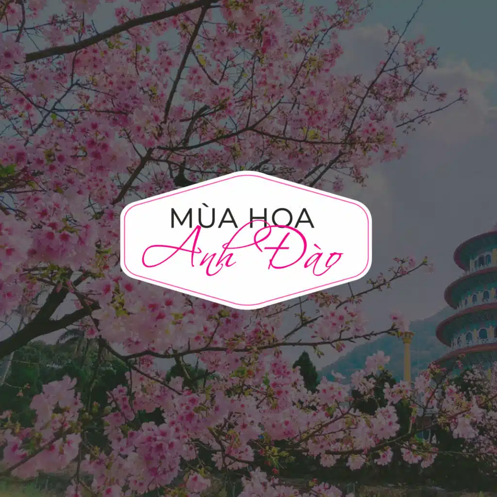 Tuấn Khương & Trúc Ly