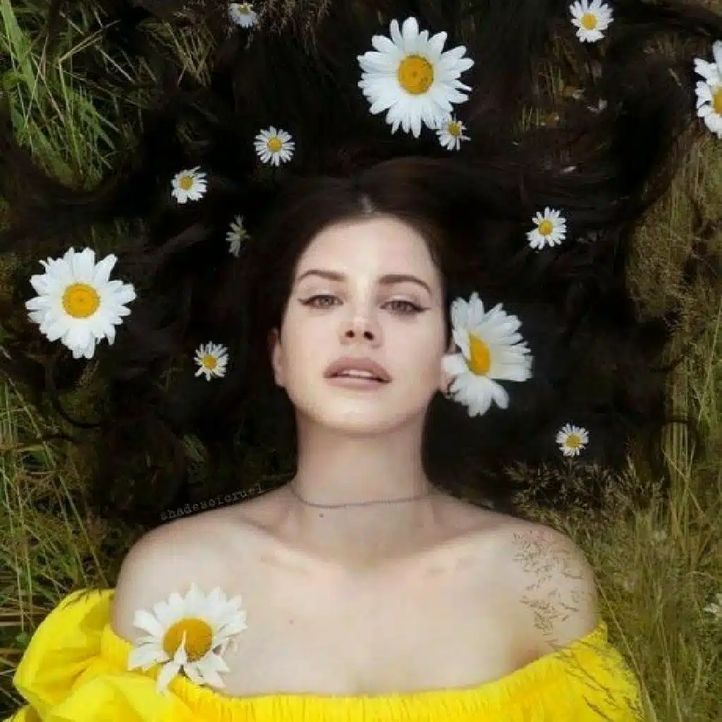 L A N A .