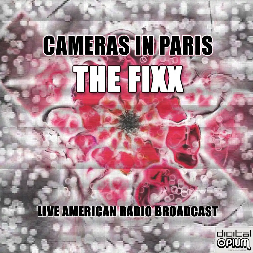 Cameras In Paris (Live)