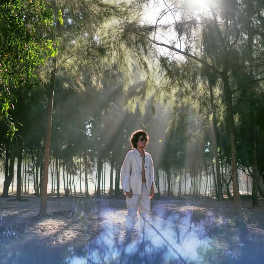 Intraverse IV : After Storms