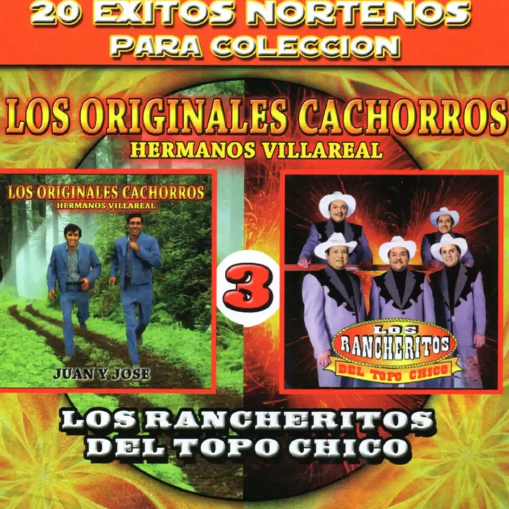 20 Exitos Nortenos Para Coleccion