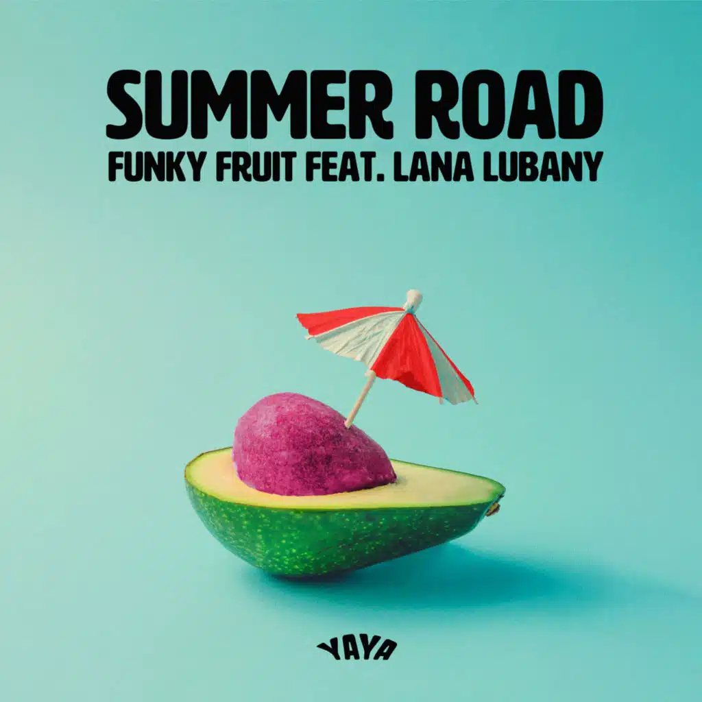 Summer Road (feat. Lana Lubany)