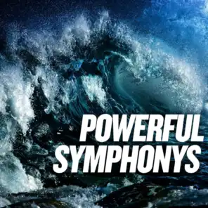 Symphony No. 5 in C-Sharp Minor: V. Rondo-Finale (Allegro)