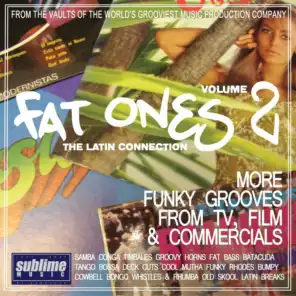 Fat Ones, Vol. 2: The Latin Connection (More Funky Grooves from TV, Film & Commercials)
