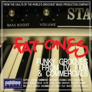 Fat Ones - Funky Grooves from TV, Film & Commercials