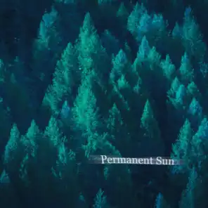 Permanent Sun