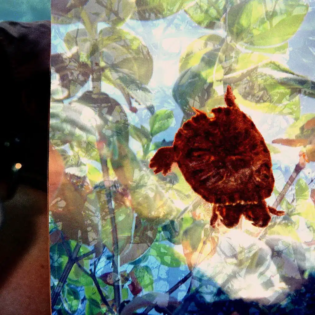 Swilling Chit and the Eidetic Trill (Deluxe Remastered Edition)