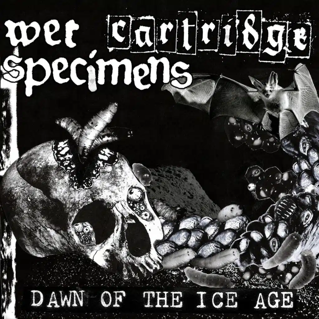 Dawn of the Ice Age