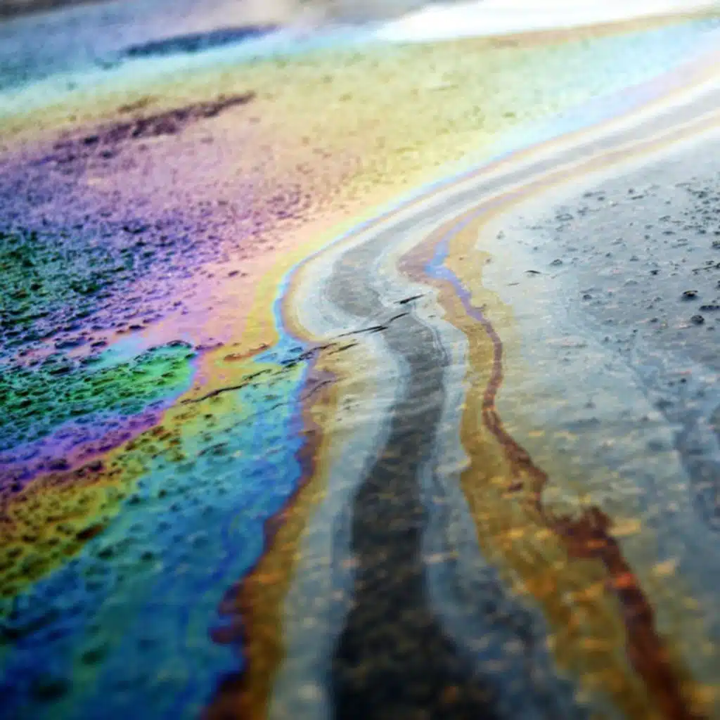 Talking In The Rain (Instrumental)