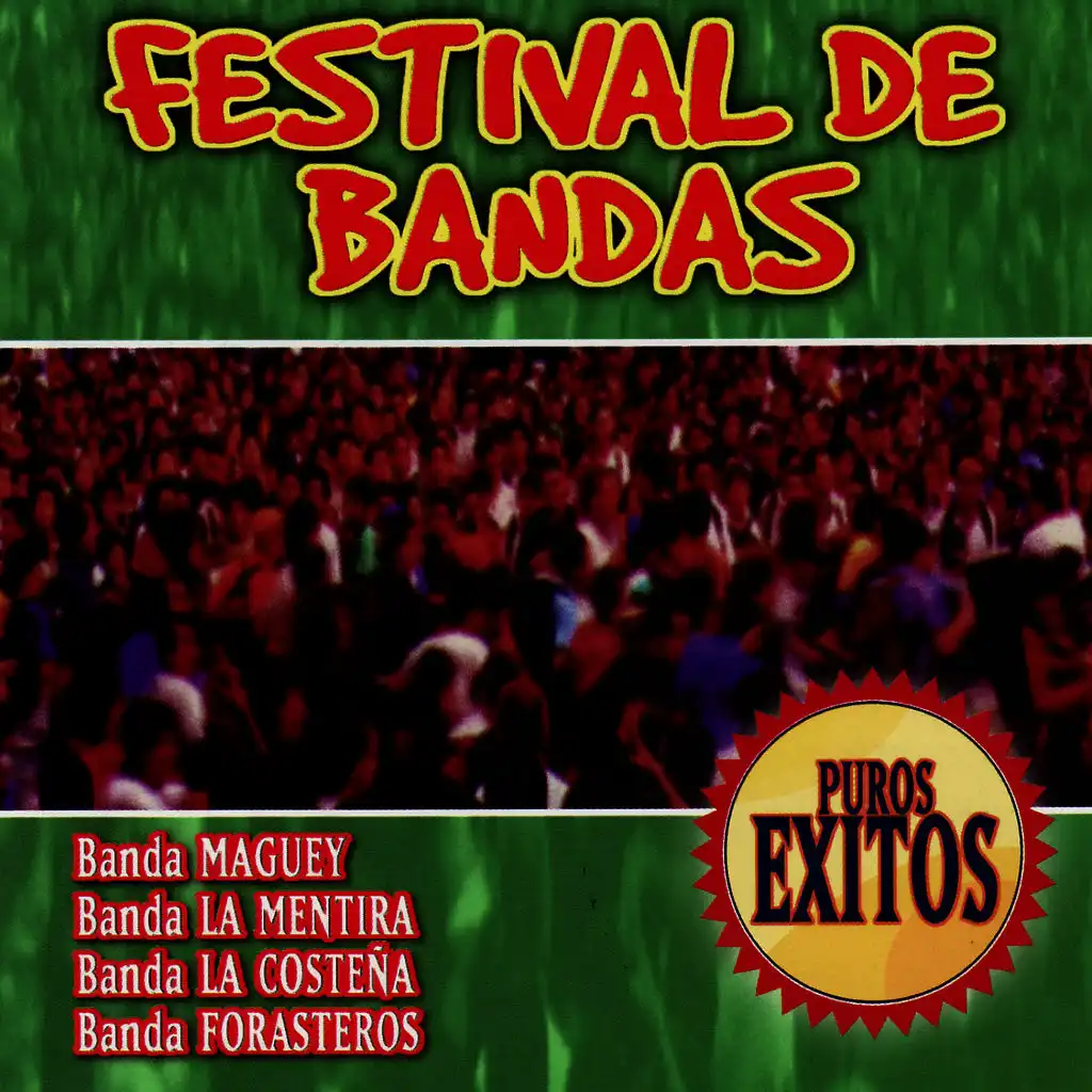 Festival De Bandas