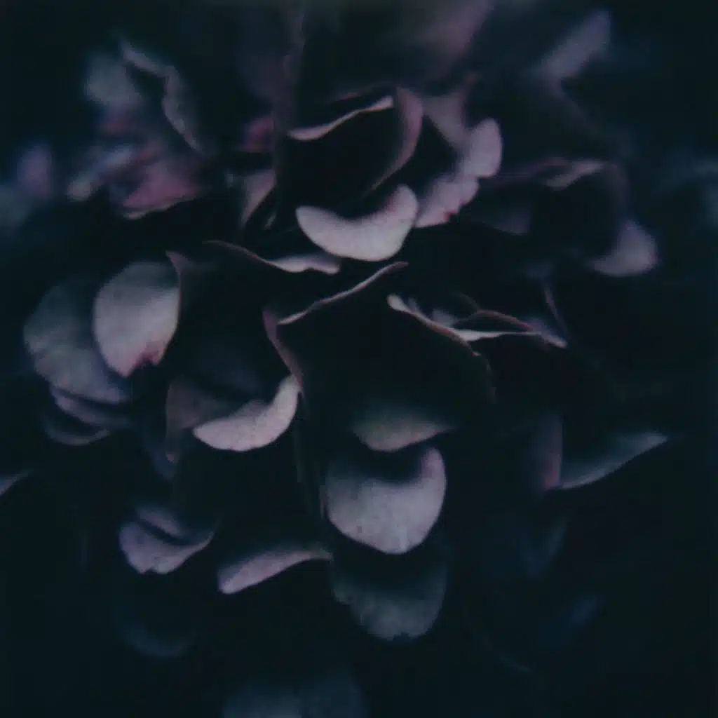 oct 13