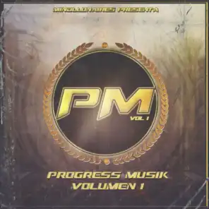 Progress Musik, Vol. 1