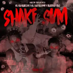 Shake Sum (feat. BlockBoy Polo)
