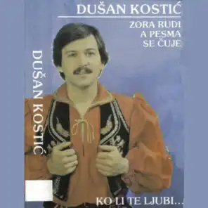 Dusan Kostic