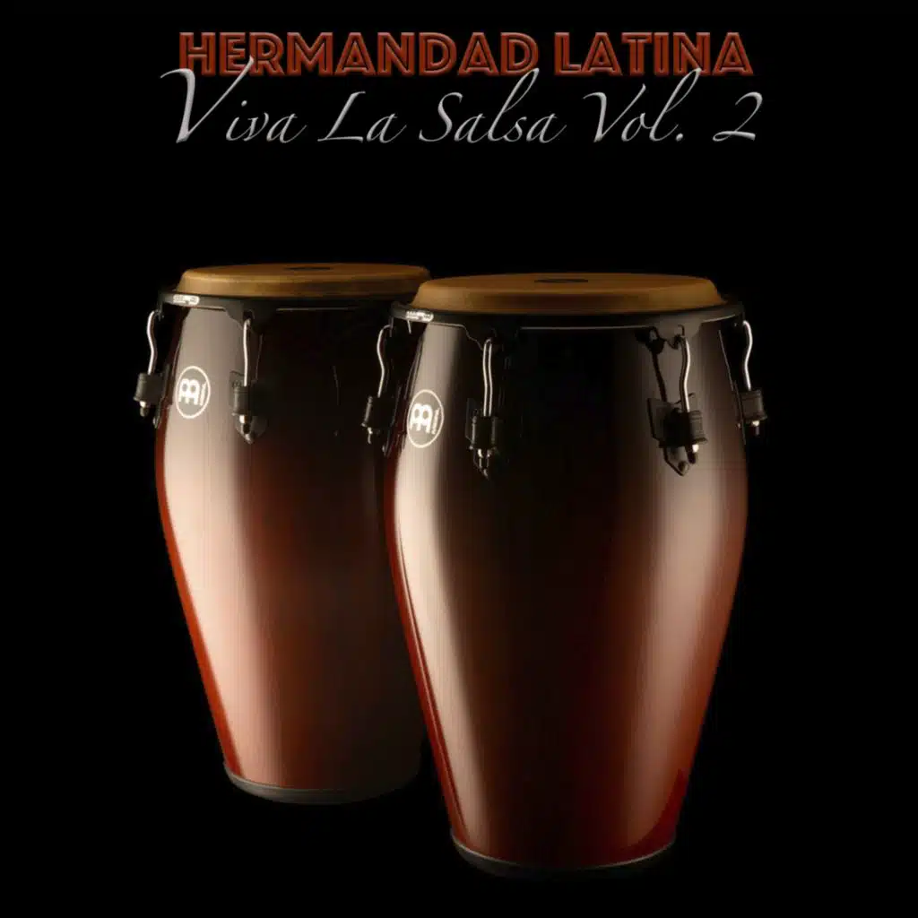 Viva la Salsa, Vol. 2