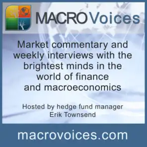 MacroVoices #286 Summer Special: Digital Currencies & Decentralized Finance Revolution Part 2