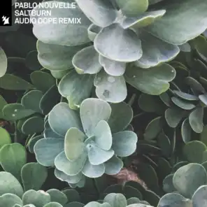 Saltburn (Audio Dope Remix)