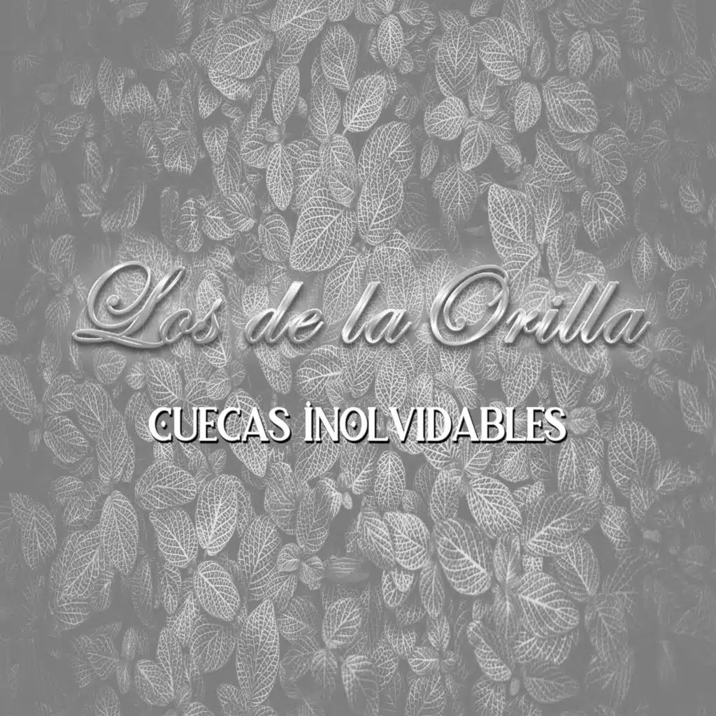 Cuecas Inolvidables