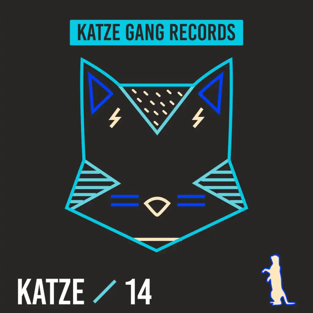 Katze 14