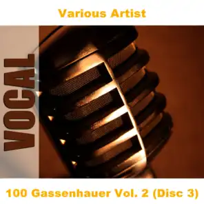 100 Gassenhauer Vol. 2 (Disc 3)
