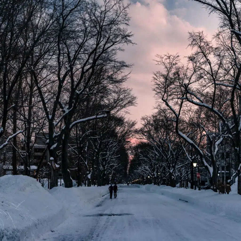 Frosty Mornings Beat Tape