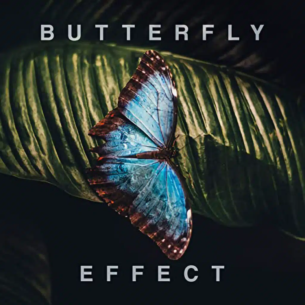Butterfly Effect