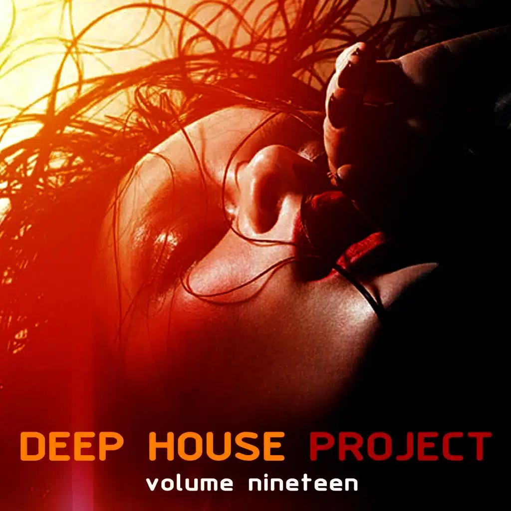 Deep House Project, Vol. 19