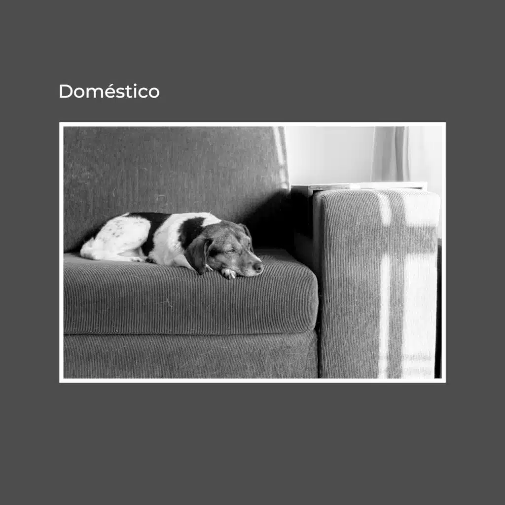 Dios de los Ahorcados