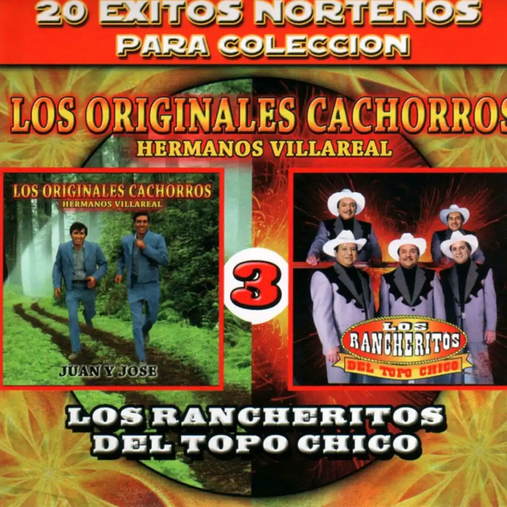 20 Exitos Nortenos Para Coleccion