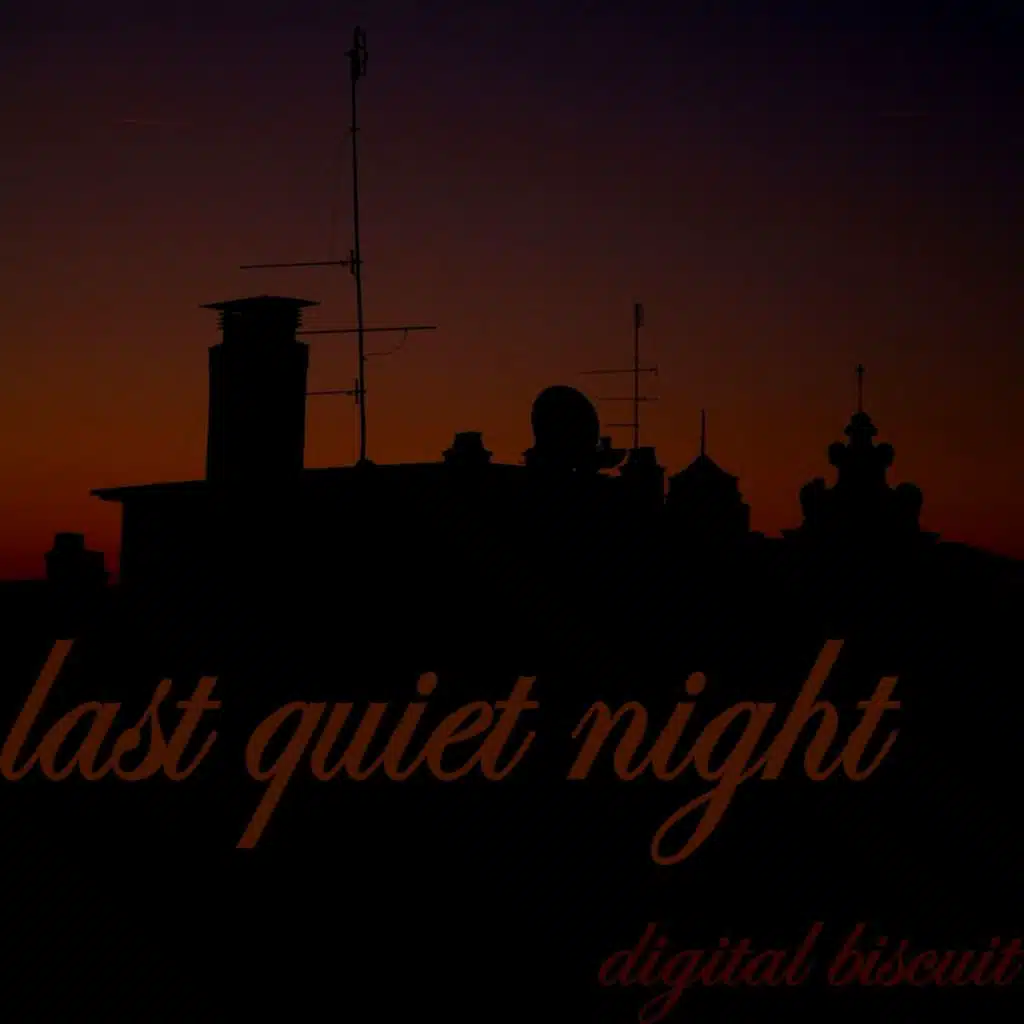 Last Quiet Night