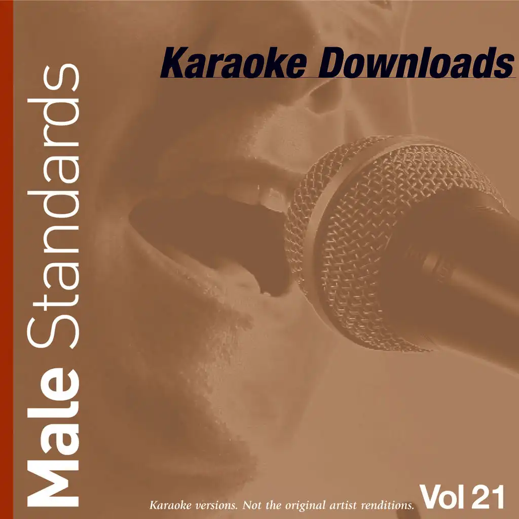 Karaoke Downloads - Male Standards Vol.21