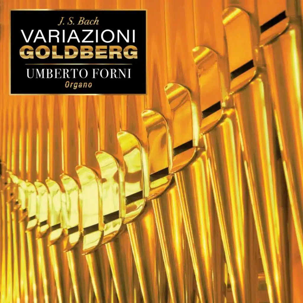 Variatio 25, Adagio