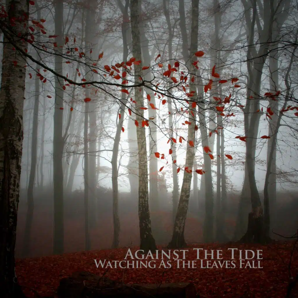 Watching As the Leaves Fall