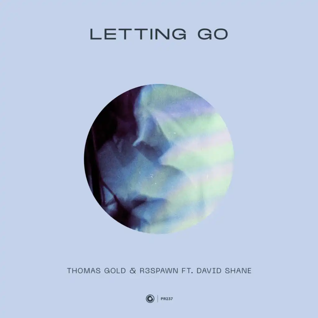Letting Go (feat. David Shane)