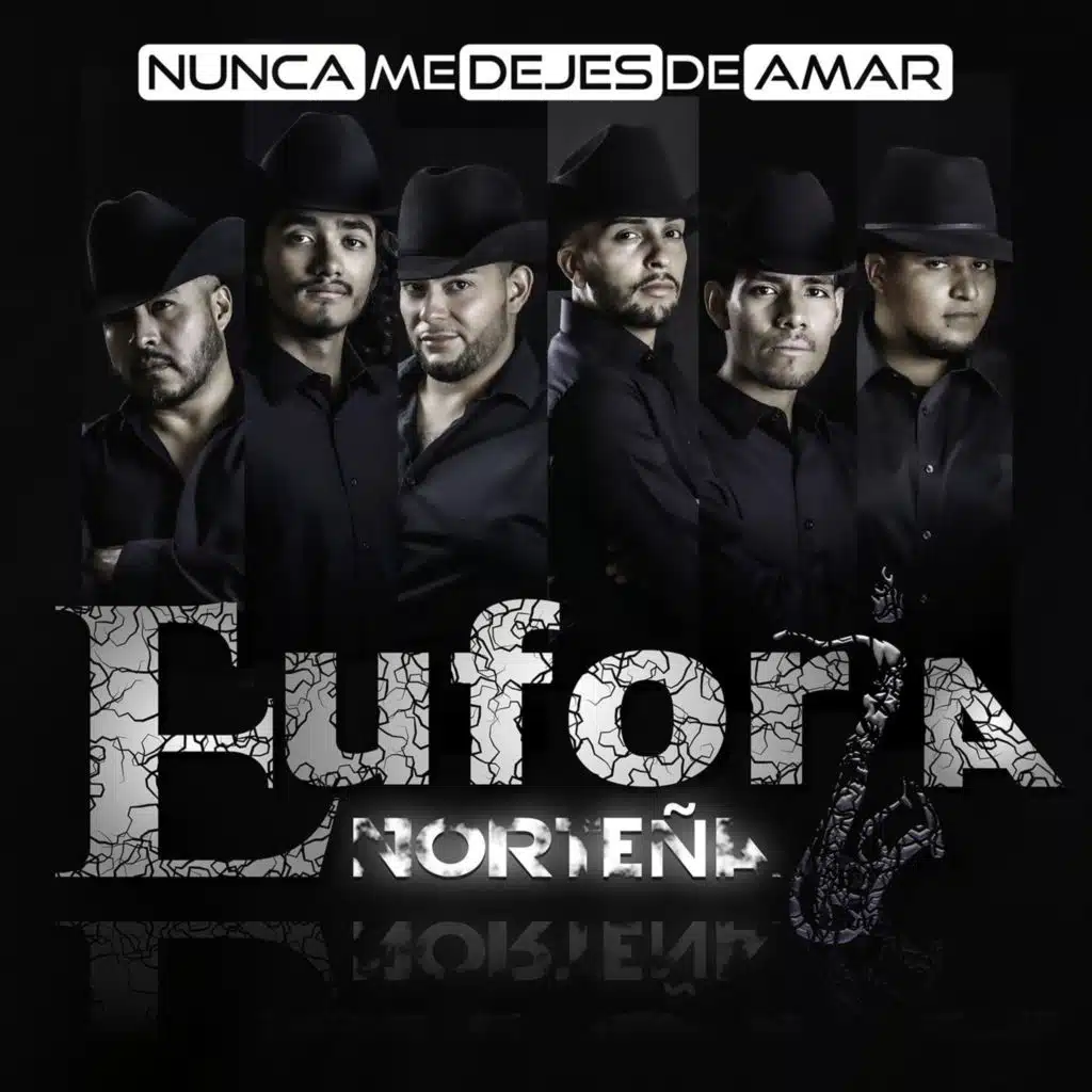 Nunca Me Dejes de Amar