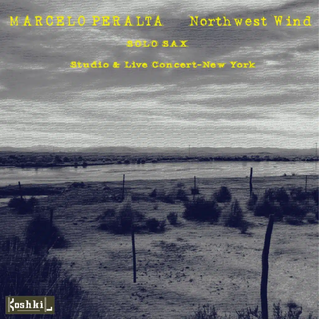 Northwest Wind - Solo Sax (Studio & Live Concert - New York)