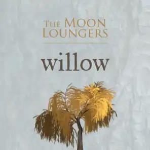 Willow (Acoustic Cover)
