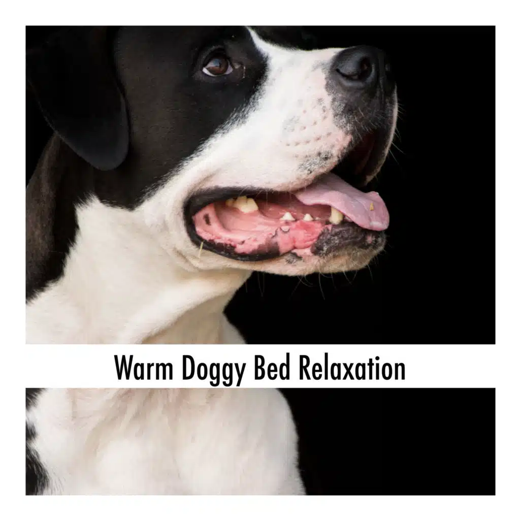 Warm Doggy Bed Relaxation